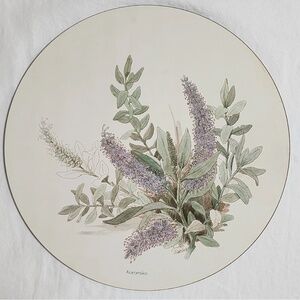 RARE Vintage JASON Wild Flower Round Placemats Set Of 6